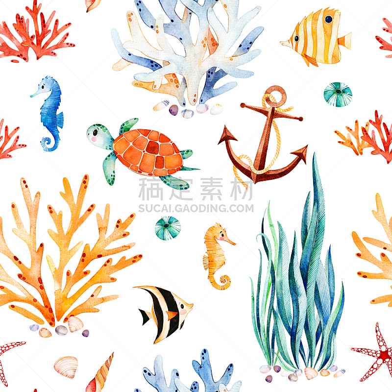 海马,海草,礁石,水彩背景,奥兰度海洋公园,海龟,可爱的,锚,绘画插图,水生植物