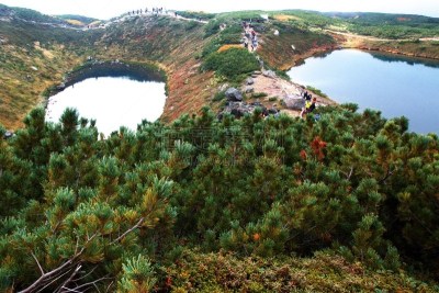 秋天,旭岳火山,大雪山,大雪山国家公园,美瑛町,尖头平底船,北海道,活火山,美,国家公园