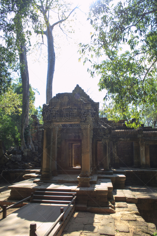 过去,支柱根,塔布笼寺,吴哥窟,垂直画幅,古代文明,柬埔寨,无人,热带雨林,户外