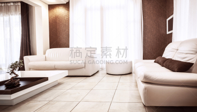 公寓,华贵,美,褐色,新的,水平画幅,无人,皮革,家具,图像