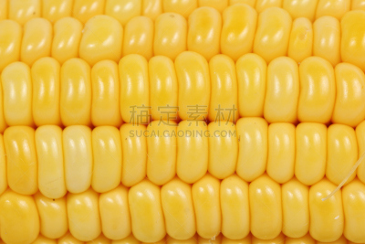 玉米,自然,水平画幅,甜玉米,无人,有机食品,外壳,膳食,熟的,特写