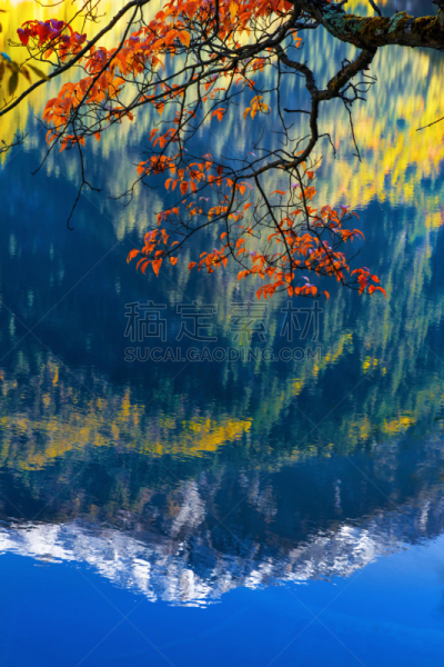九寨沟 ,镜湖,风景,四川省,垂直画幅,水,天空,公园,山,雪