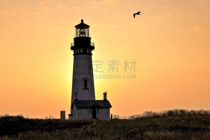 俄勒冈州,雅吉那湾灯塔,俄勒冈郡,水平画幅,无人,灯塔楼,海鸥,日落,摄影