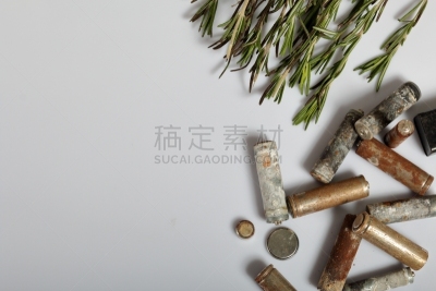 环境保护,电池,循环利用,古老的,枝,蔬菜,地球日,活力,农业,有毒废物