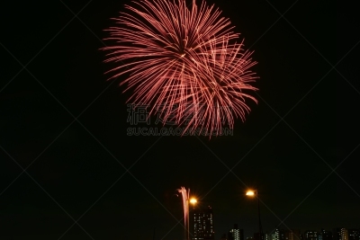 焰火,足立区,夜晚,无人,东京,2015年,图像,夏天,水平画幅,日本