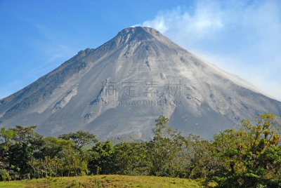 阿雷纳火山,小的,可爱的,野生动物,浣熊,哺乳纲,动物,湖,大海鲢,户外