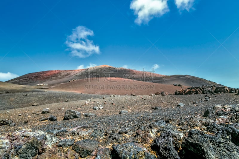 兰萨罗特岛,timanfaya national park,熔岩平原,驼队,火山喷口,熔岩,大西洋群岛,火山,骆驼,自然