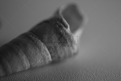 贝壳,自然,芋螺,自然纹理,图像,新西兰,无人,黑白图片,式样,圆锥