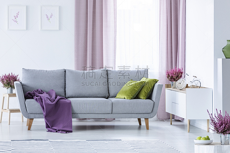 灰色,沙发,起居室,高雅,紫色,舒服,丁香花,绿色,毯子,巨大的