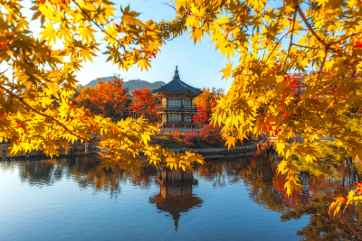 韩国,景福宫,首尔,秋天,宫殿,枫叶,天空,艺术,水平画幅,无人