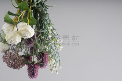 花束,自然美,背景,轻的,野生植物,美,水香花菜,芳香的,水平画幅,无人