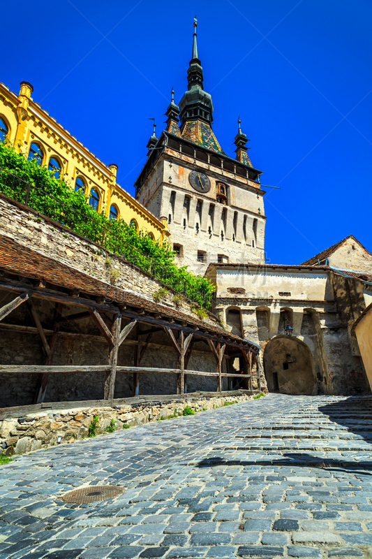 sighisoara,罗马尼亚,特兰西瓦尼亚,城市,名声,钟塔,中心,吸血鬼,门口,垂直画幅