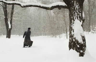 雪,手提箱,男人,水平画幅,户外,男商人,不看镜头,厚衣服,鳄鱼皮,冬衣