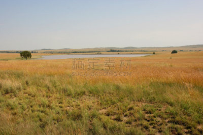 布隆方丹,奥兰治自由邦,东欧大草原,南非,在之间,半干旱,天空,美,水平画幅,无人