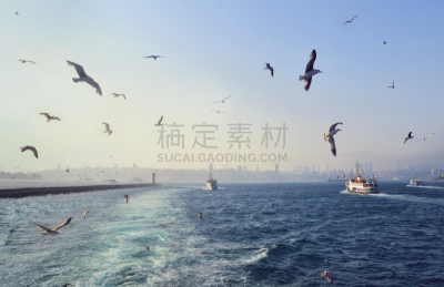 透过窗户往外看,伊斯坦布尔,海洋,客船,土耳其人,博斯普鲁斯海峡,机票,大群动物,土耳其,渔业