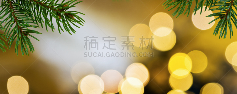 背景,全景,嫩枝,大特写,球体,健康保健,贺卡,圣诞装饰物,球