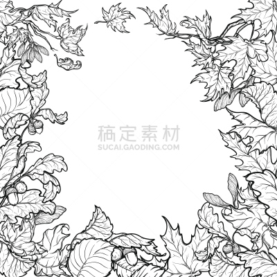 边框,草图,秋天,叶子,方形画幅,黑白图片,九月,十月,直的,复古风格