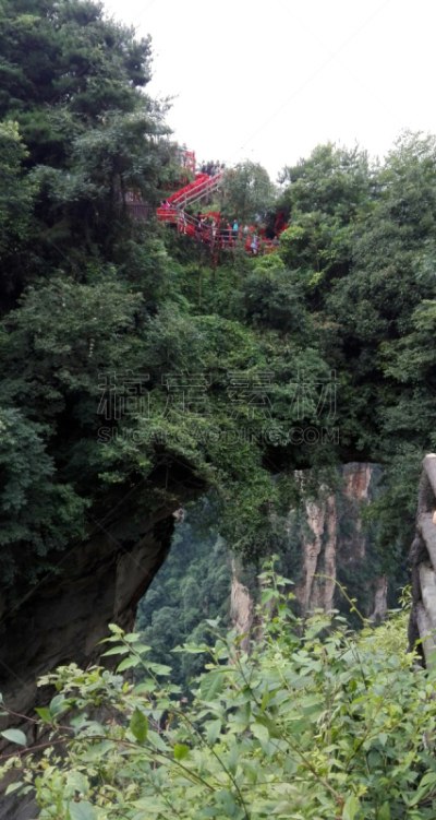 山脉,自然拱,公园,枝繁叶茂,著名景点,自然美,张家界,春天,武陵源风景名胜区,中国