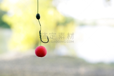 鱼饵,鲤鱼,钓大鱼,钓丝,鱼钩,水平画幅,无人,钓具,一个物体,摄影