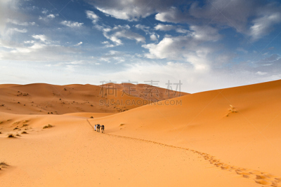 图阿雷格人,莫鲁加,erg chebbi dunes,骆驼,撒哈拉沙漠,自然,天空,脚印,水平画幅,地形