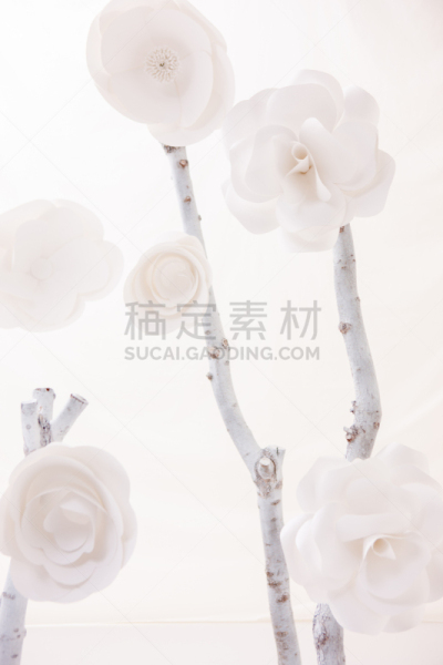 纸花,垂直画幅,白色,无人,手艺,日本,纸,枝,摄影,花