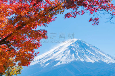 富士山,秋天,日本,彩色图片,水,水平画幅,樱花,樱桃,雪,无人