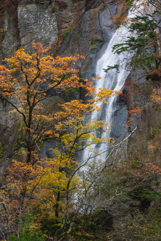 大雪山,上川支厅,著名自然景观,北海道,火山,垂直画幅,天空,云,瀑布,无人