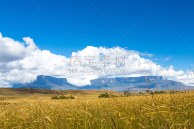 罗赖马山,南美