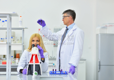 实验室,人群,专业人员,药,家庭,学员,科学实验,技术,现代,医科学生