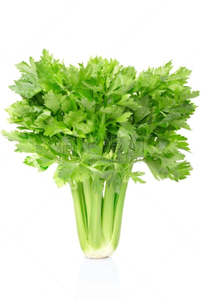 芹菜,白色背景,图像,绿色,巨大的,白色,剪贴路径,蔬菜,背景分离,清新