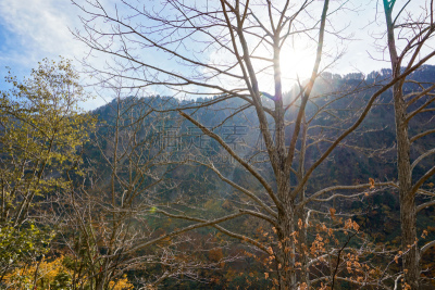 国家公园,秋天,日本,富山,富山县,天空,美,北陆地区,水平画幅,瀑布