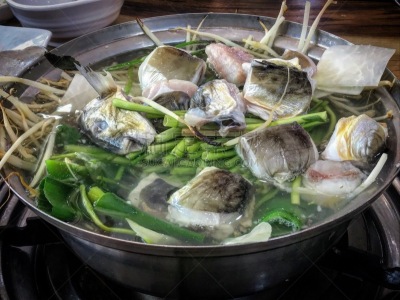洞,热带气候,佛罗里达,墨西哥,自然美,韩国,迪尔菲尔德海滩,沼穴,城市,首尔