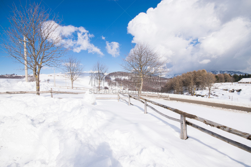 雪,风景,冬天,山,有包装的,运动,环境,霜,伦策海德,童话故事