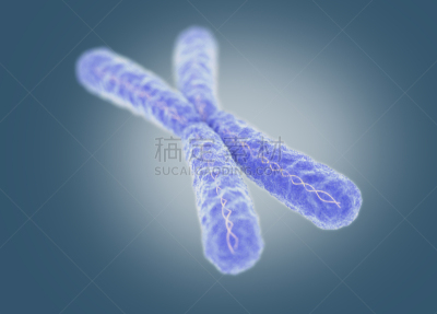 绘画插图,染色体,三维图形,打叉,水平画幅,形状,人,科学,健康保健