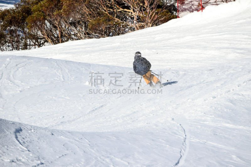 趣味追逐赛,体育比赛,滑雪运动,澳大利亚,高尔夫球场,新南威尔士,水平画幅,雪,澳大利亚阿尔卑士山脉,户外