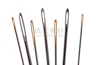 针,动物眼睛,圣伯纳犬,美国,灰色,水平画幅,岩石,黑山,银色,无人