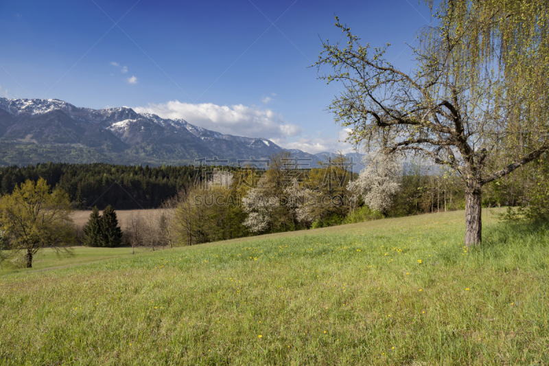 karavanke range,卡林斯亚,自然,奥地利,水平画幅,山,阿尔卑斯山脉,无人,户外,湖