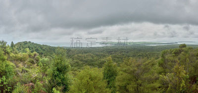 新西兰,全景,hauraki gulf islands,rangitoto channel,莫图塔普岛,水平画幅,无人,森林,多云,户外
