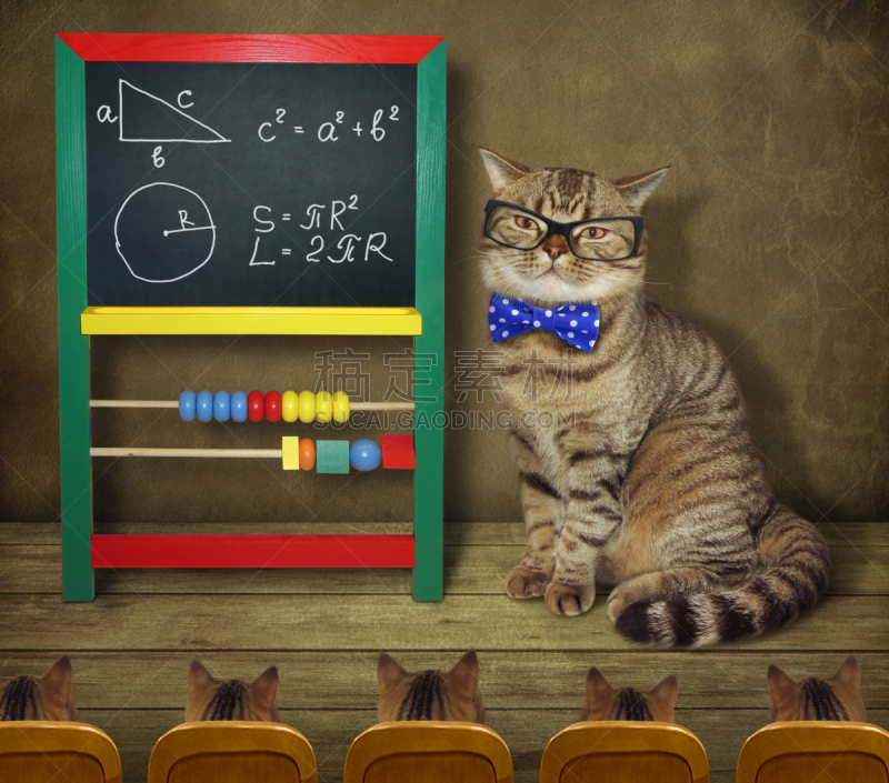 猫,两只动物,水平画幅,形状,无人,粉笔,几何形状,数学,公式,教室
