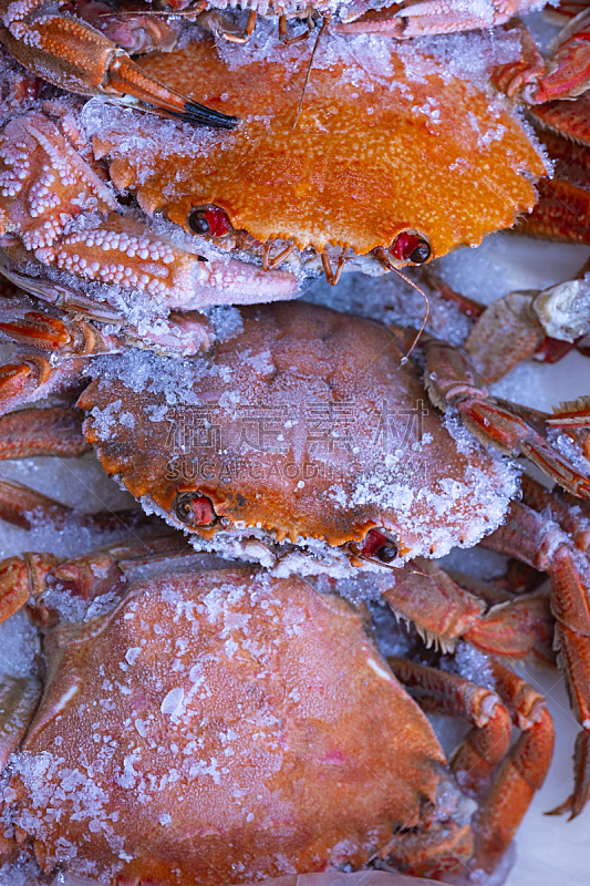 盘子,螃蟹,蓝色,垂直画幅,雪,膳食,海产,户外,明虾,虾