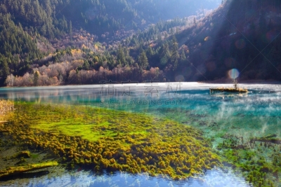 彩色图片,秋天,九寨沟风景名胜区,九寨沟 ,四川省,水,国家公园,水平画幅,无人,户外