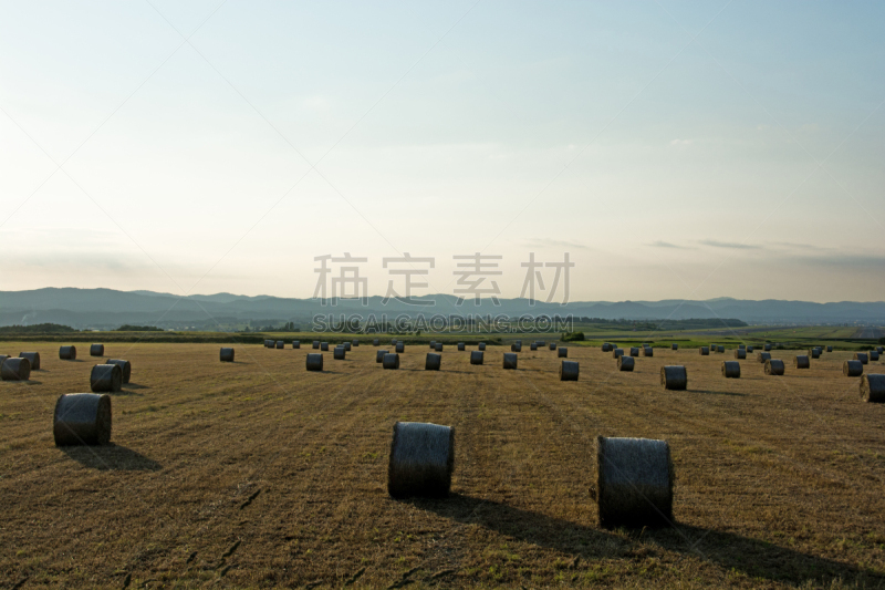 田地,黄昏,干草卷,天空,贺卡,留白,水平画幅,云,郊区,无人