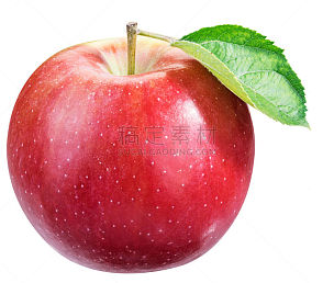 熟的,红色,苹果,叶子,水平画幅,绿色,水果,无人,乌克兰,白色背景