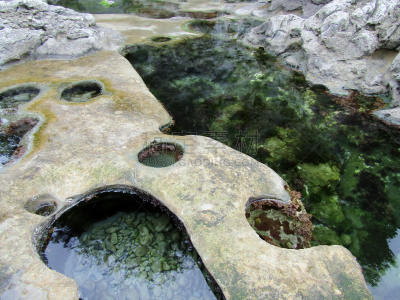 温哥华岛,潮水坑,植物海滩,加拿大,公元前,水,褐色,洞,水平画幅,贻贝