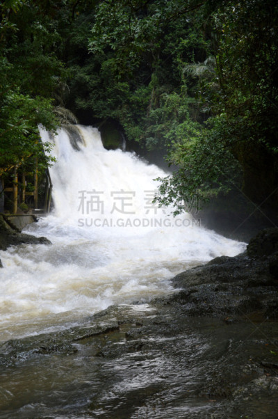 瀑布,望加锡,苏拉威西,自然,垂直画幅,无人,湿,纯净,热带雨林,组物体