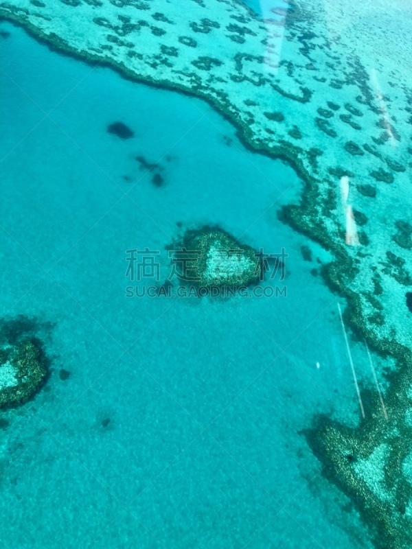 心形礁,水下,蓝色,热带气候,自然美,旅游目的地,美,自然,生活方式,海洋生命