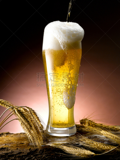 啤酒,马克杯,垂直画幅,计算机游戏,雷蒙,休闲活动,母马,无人,豪宅,巨大的
