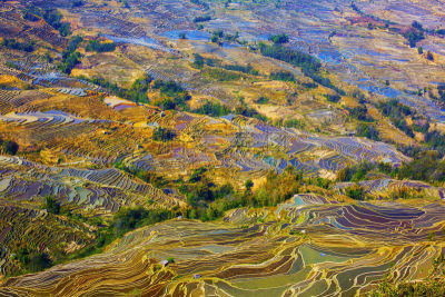 元阳,梯田,云南省,中国,露台别墅,哈尼族,锥形帽,雕塑家,建筑露台,昆明