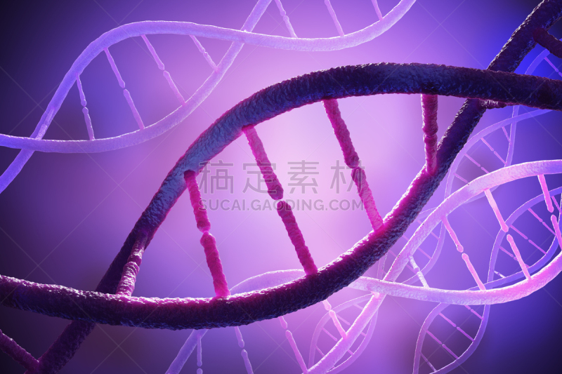 绘画插图,三维图形,螺线,脱氧核糖核酸,特写,视角,生物科技,水平画幅,科学,生物学