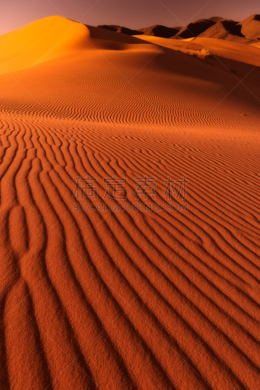 沙丘,撒哈拉沙漠,erg chebbi dunes,垂直画幅,沙子,莫鲁加,户外,干的,摩洛哥,阿拉伯